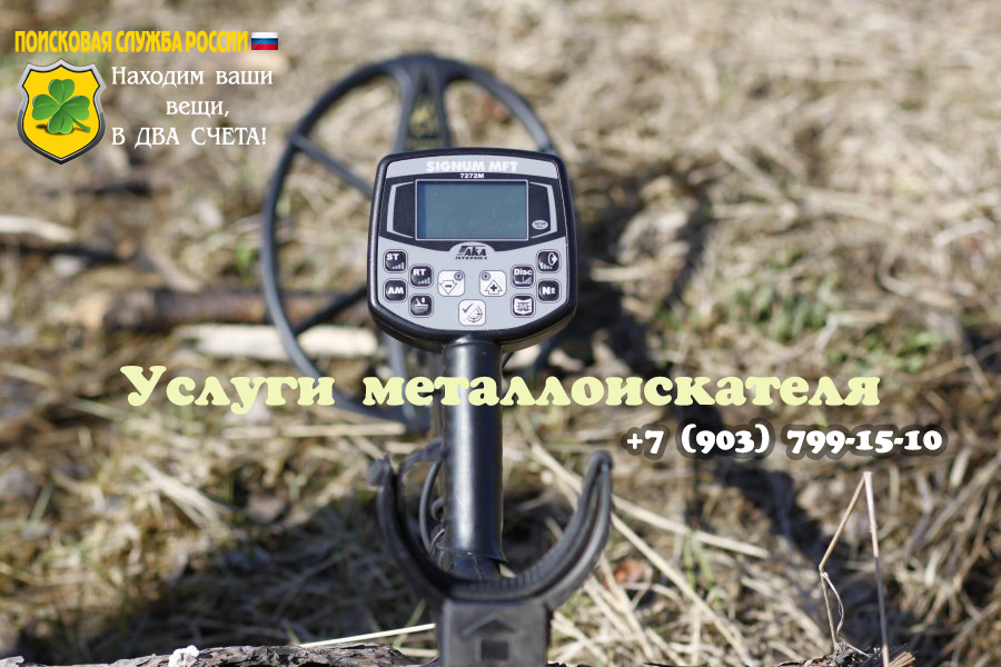 Услуги металлоискателя