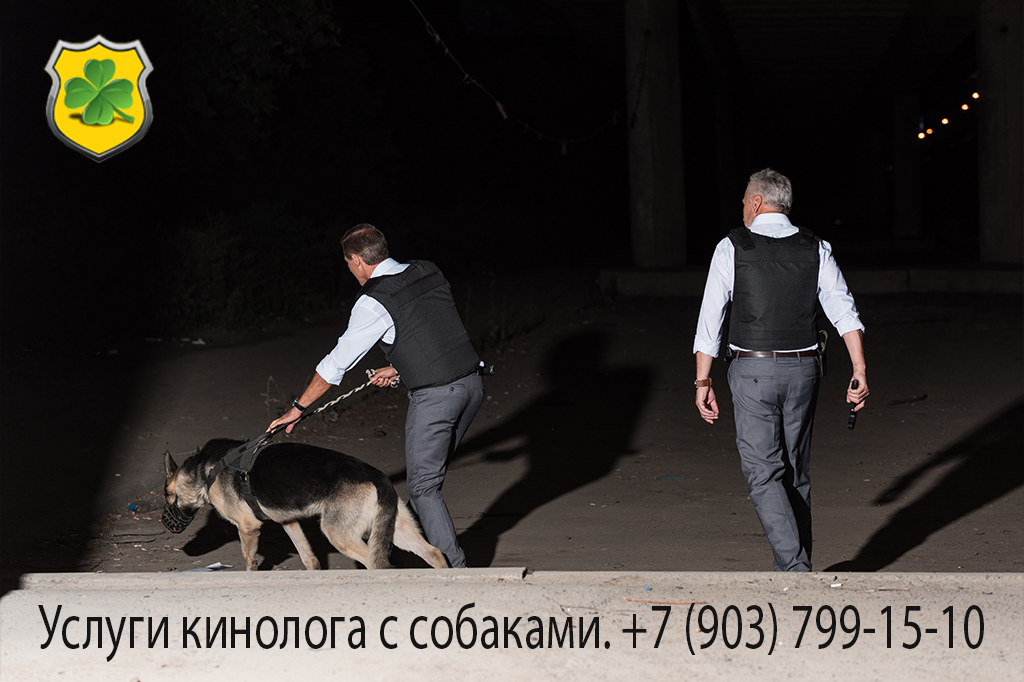 Услуги по поиску пропавших людей Услуги по поиску пропавших людей