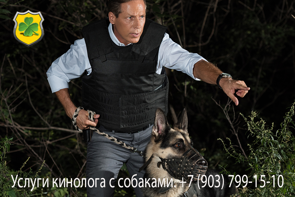 Услуги кинолога с собаками Услуги кинолога с собаками