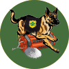 f06fddead75483fb61afb5e327f2dad6.png