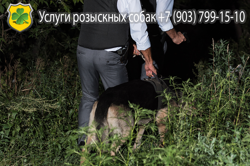 Что делать, если пропал человек?
