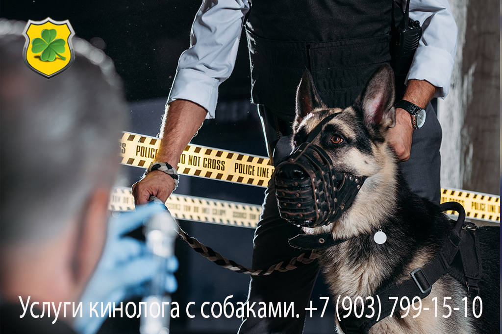 Услуги поиска собаками по следу